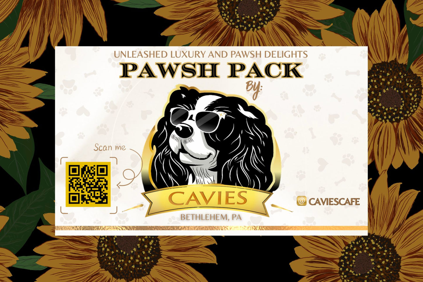 Pawsh Pack: Summer Preview Drop
